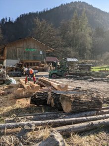 Holzbildhauerei mit Lara Mali Lehmann